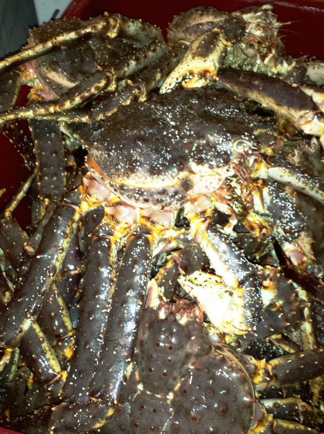 King Crabs_2